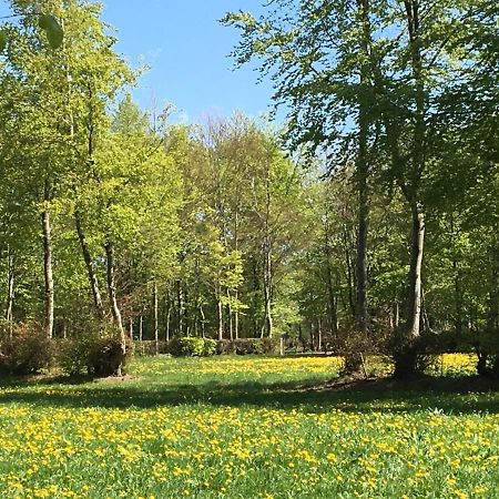 Ferienwohnung Ravelblick Roetgen Buitenkant foto
