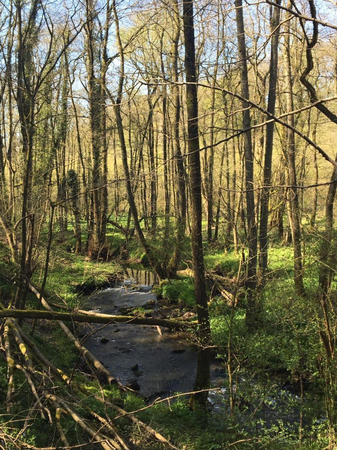 Ferienwohnung Ravelblick Roetgen Buitenkant foto