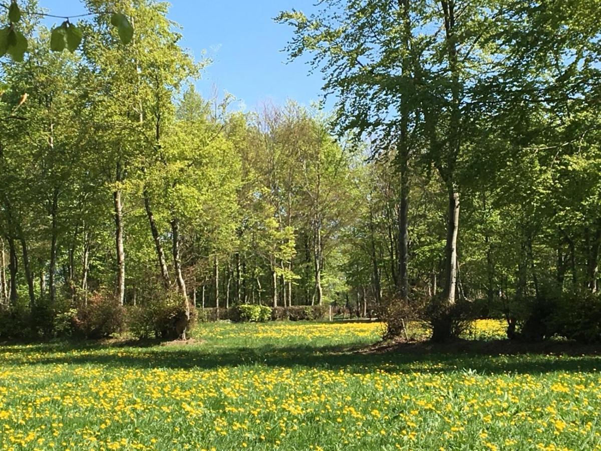Ferienwohnung Ravelblick Roetgen Buitenkant foto